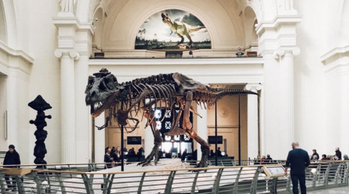 museum2